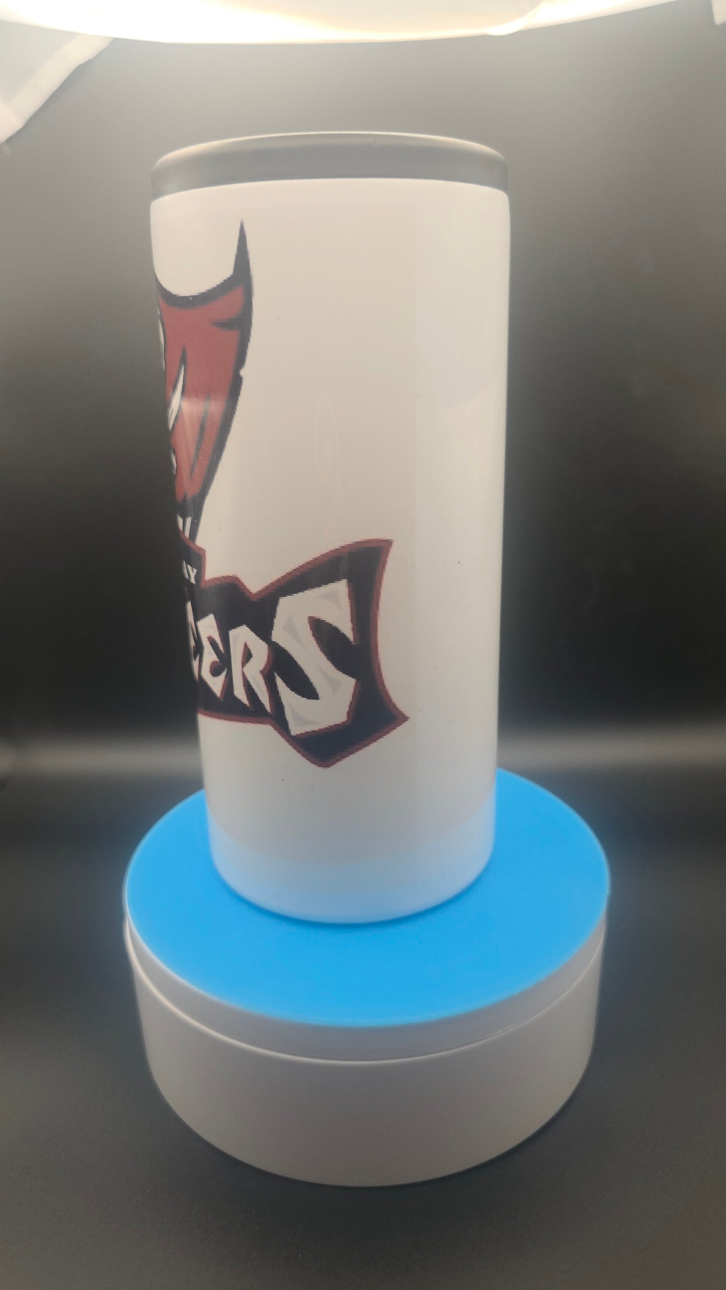 Tampa Bay Buccaneers Inspired 14-ounce Skinny Can Carrier